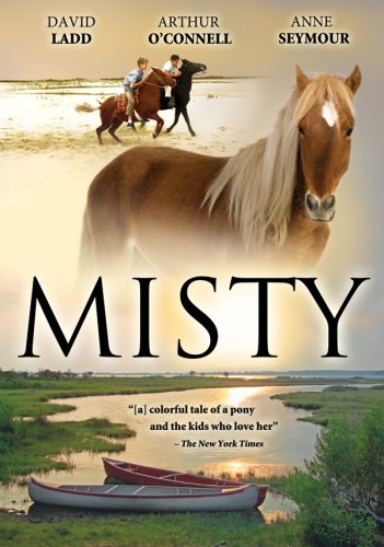 Misty used book depot