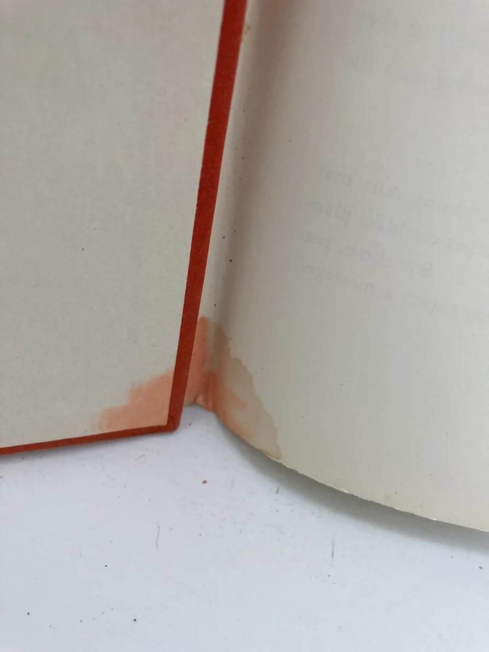 Red Giants & White Dwarfs used book depot