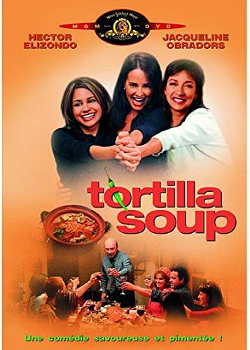 Tortilla Soup used book depot