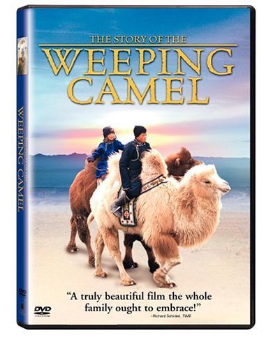 The Story of the Weeping Camel used book depot