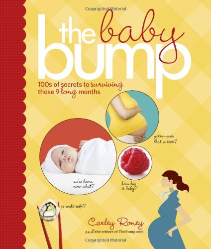 The Baby Bump: 100s of Secrets to Surviving Those 9 Long Months used book depot