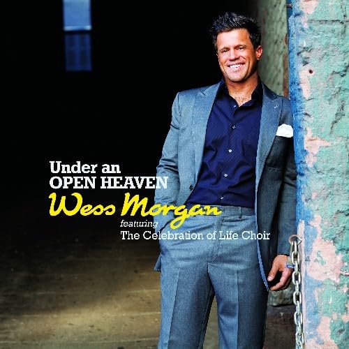 Under An Open Heaven, Vol. 1 used book depot