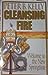 Cleansing Fire: Welcome to the New Springtime [Paperback] Peter B Kelly