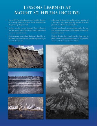 The Global Flood - The Flood - Unlocking Earth's Geologic History Hardcover - Institute for Creation Research used book depot
