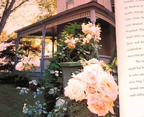 Victoria: At Home with Roses (Patterns, Petals and Prints to Adorn Every Room) used book depot