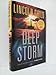 Deep Storm: A Novel