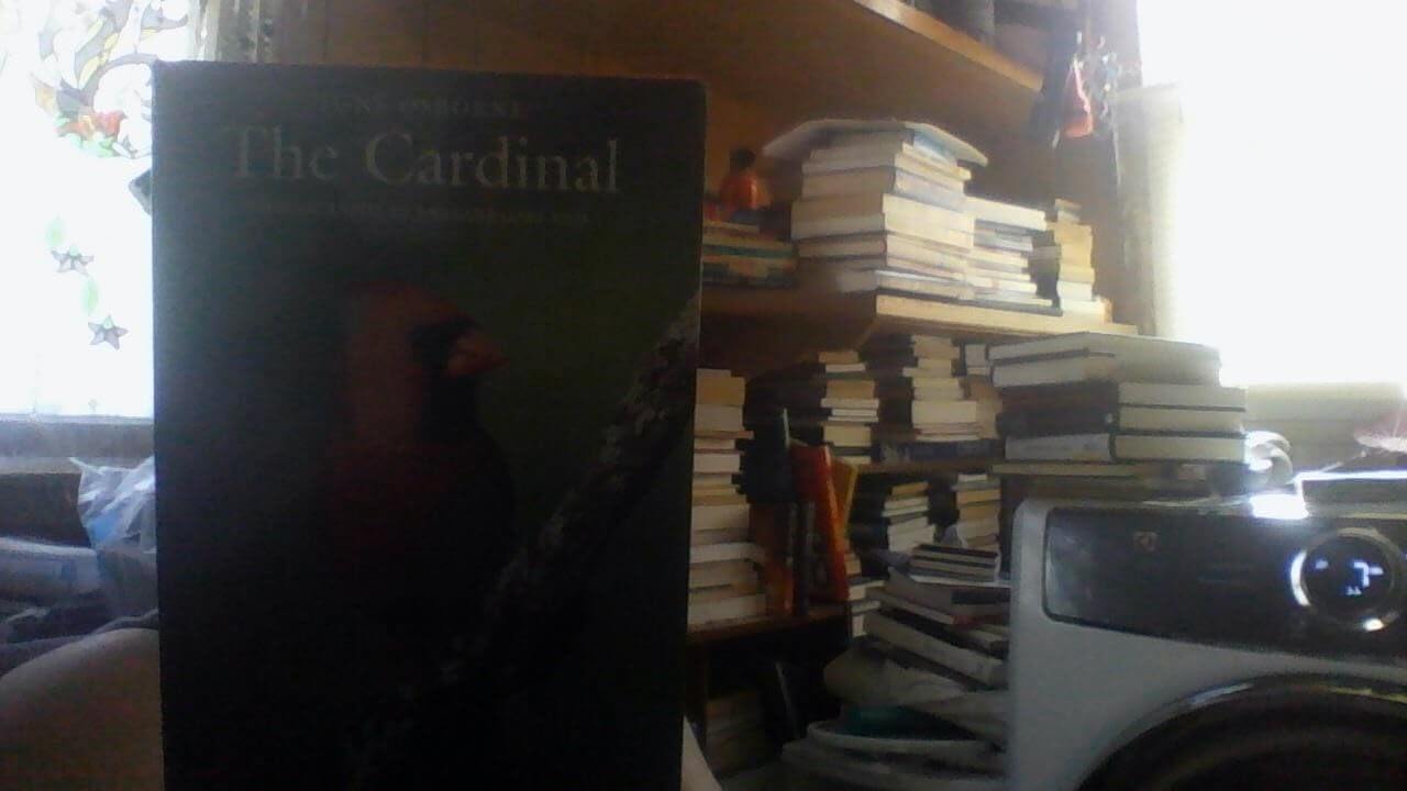 The Cardinal (Corrie Herring Hooks Series) used book depot