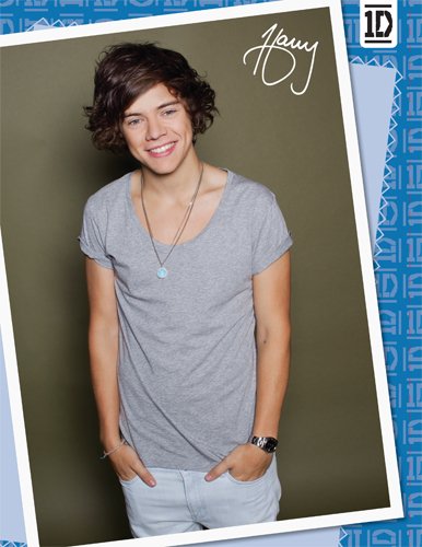 1D Official Poster Collection: Over 25 Pull-out Posters, Plus: Bonus Double-size Poster Version 3 used book depot