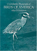 Cruickshanks Photographs of Birds of America Cruickshank, Allan D