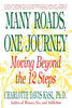 Many Roads One Journey: Moving Beyond the 12 Steps [Paperback] Charlotte Davis Kasl