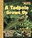 A Tadpole Grows Up Scholastic News Nonfiction Readers Zollman, Pam