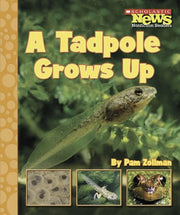 A Tadpole Grows Up (Scholastic News Nonfiction Readers) used book depot