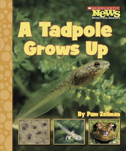 A Tadpole Grows Up (Scholastic News Nonfiction Readers) used book depot