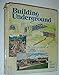 Building Underground: The Design and Construction Handbook for EarthSheltered Houses Wade, Herbert