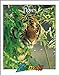 Tigers Zoobooks Series [Mass Market Paperback] Wexo, John Bonnett and Wildlife Educ Limited Staff