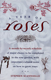 A Year of Roses used book depot