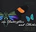 100 Butterflies and Moths: Portraits from the Tropical Forests of Costa Rica [Paperback] Miller, Jeffrey C; Janzen, Daniel H and Hallwachs, Winifred