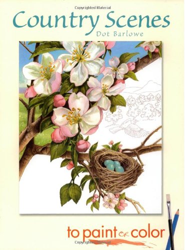 Country Scenes to Paint or Color (Dover Art Coloring Book) used book depot