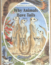 Why Animals Have Tails (Animals Up Close) used book depot