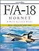 FA18 Hornet: A Navy Success Story Jenkins, Dennis R