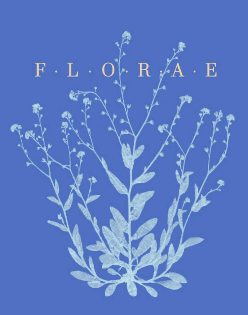 Florae, le temps des fleurs - version anglaise used book depot