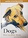 Dogs: How to Draw Them Petterson, Melvyn