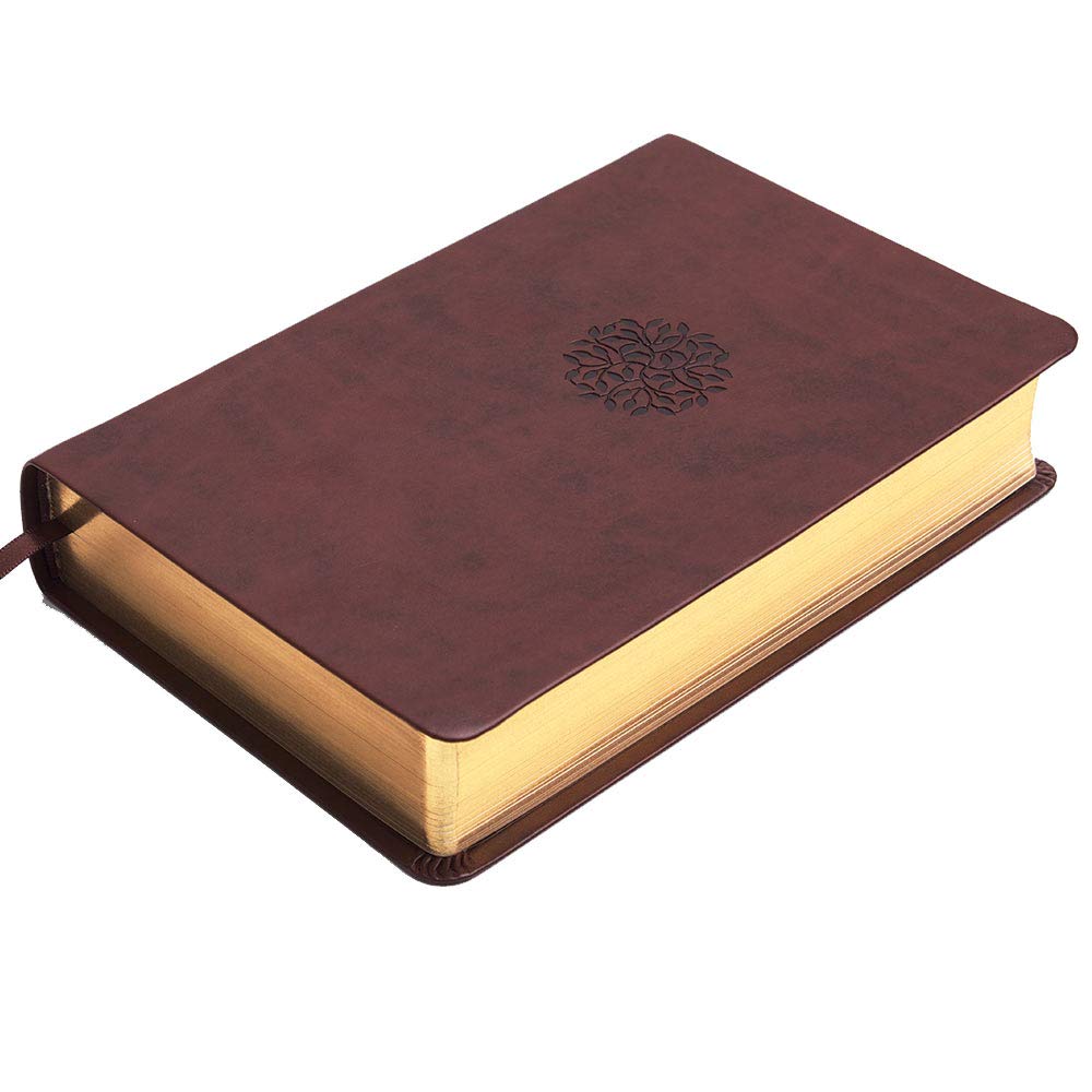 Psalms of the Bible: The Songs of Scripture in Both Contemporary and Classic Form used book depot