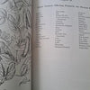 Flower Essences and Vibrational Healing