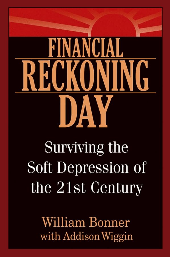 Financial Reckoning Day: Surviving the Soft Depression of the 21st Century used book depot