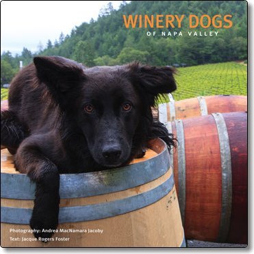 Winery Dogs of Napa Valley used book depot