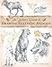 The Artist's Guide to Drawing Realistic Animals