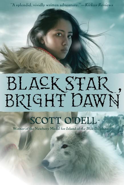 Black Star, Bright Dawn used book depot