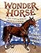 Wonder Horse: The True Story of the Worlds Smartest Horse McCully, Emily Arnold