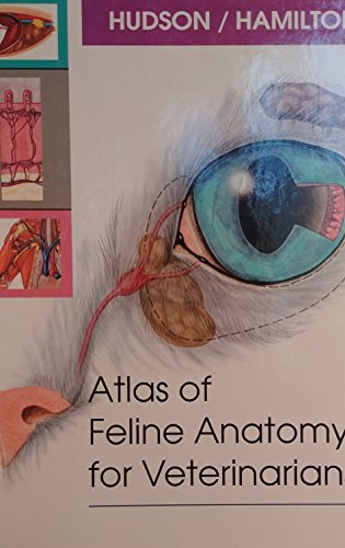 Atlas of Feline Anatomy for Veterinarians Lola C, PhD Hudson and William P Hamilton