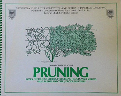 Pruning