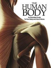 The Human Body: An Illustrated Guide to Your Body and How it Works used book depot
