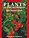 Plants of the Metroplex: Newly Revised Edition
