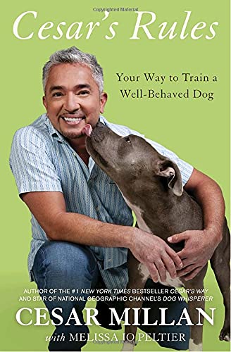 Cesar's Rules: Your Way to Train a Well-Behaved Dog used book depot