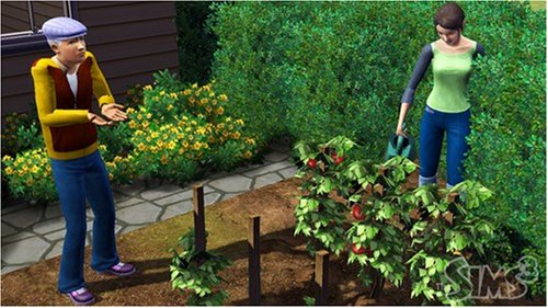 The Sims 3 - PC used book depot