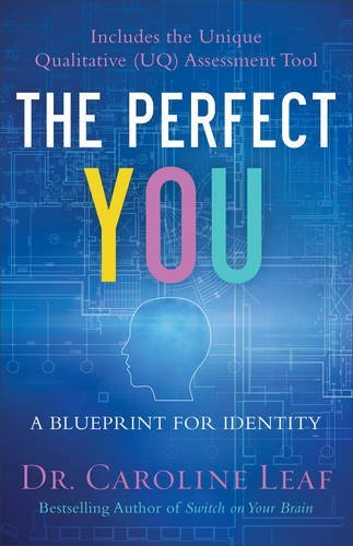 The Perfect You: A Blueprint for Identity used book depot