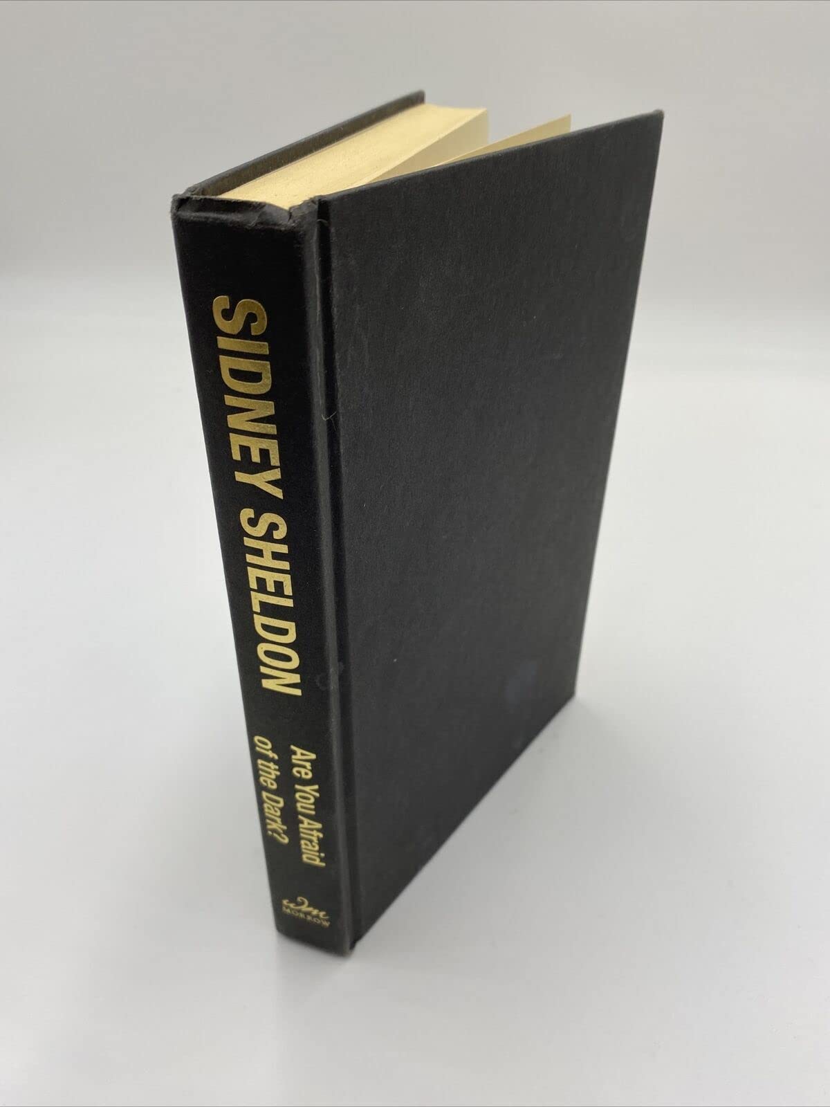 Are You Afraid of the Dark? : A Novel used book depot