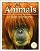 Animals: A Visual Encyclopedia Second Edition DK Childrens Visual Encyclopedias DK