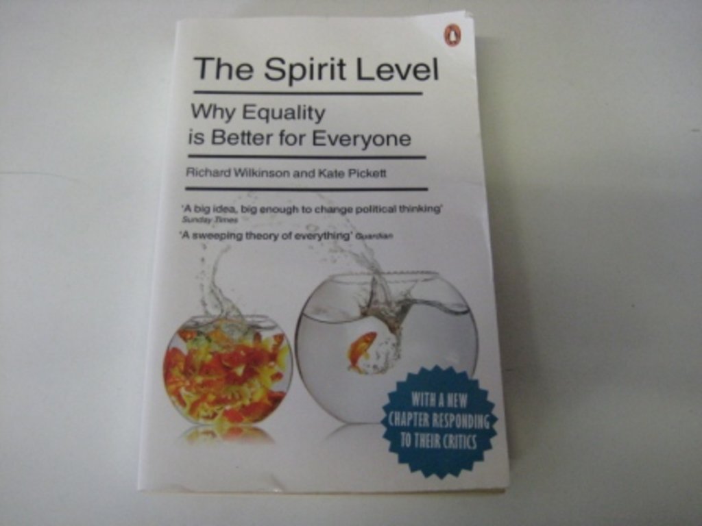 Spirit Level,The: Why Equality Is Better For Everyone