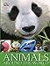 Animals Around the World DK Publishing