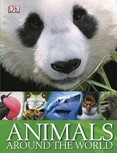 Animals Around the World used book depot