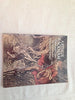 Rackhams Color Illustrations for Wagners Ring [Paperback] Arthur Rackham