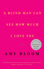 A Blind Man Can See How Much I Love You : Stories used book depot