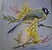 Painting Songbirds with Sherry C. Nelson: 15 Beautiful Birds in Oil