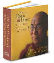 The Dalai Lama's Little Book of Wisdom used book depot