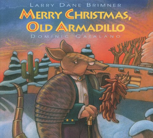 Merry Christmas, Old Armadillo used book depot